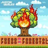 Fuego Forestal artwork