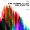 Raving With the Voice - Single album lyrics, reviews, download