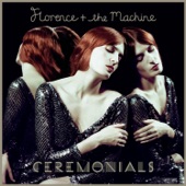Florence + the Machine - Never Let Me Go