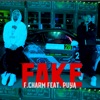 Fake - Single (feat. Puya) - Single