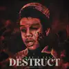 Before I Self Destruct album lyrics, reviews, download