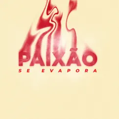 Paixão Se Evapora - Single by Fê Gosula album reviews, ratings, credits