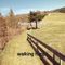 Poppin' My Collar - Walking Happy lyrics