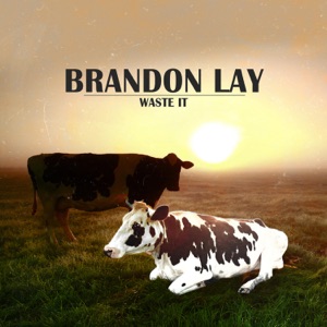 Brandon Lay - Waste It - 排舞 音乐