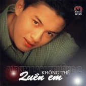 Không Thể Quên Em artwork