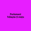 Parlament - E frumoasa foc