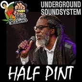 Hold On Underground (feat. Half Pint) [Dubplate] artwork