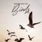 Life in Balance - Lily Zen lyrics