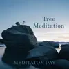 Tree Meditation album lyrics, reviews, download