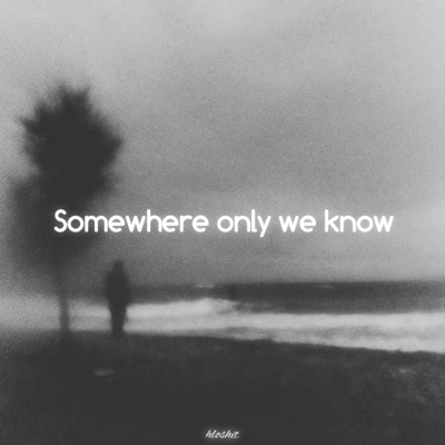 Somewhere Only We Know (feat. Rhianne) - Gustixa | Shazam