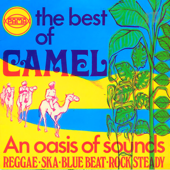 Camel & the Oasis of Reggae - Various Artists