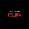 Felina - Single album lyrics, reviews, download