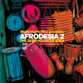 Afrodesia 2 (The Afro House of Irma) - Black Mighty Wax