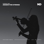 Adagio For Strings artwork