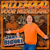 Allemaal Voor Nederland (m.m.v. Dané) artwork