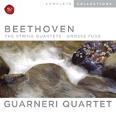 Ludwig van Beethoven - String Quartet No. 9 in C Major, Op. 59, No. 3: III. Minuet. Grazioso - Trio