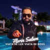 Viata de lux viata de boss - Single