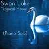 Swan Lake (Tropical House Remix Piano Solo) - Single album lyrics, reviews, download