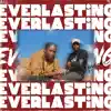 Everlasting - 5th Musical Episode album lyrics, reviews, download