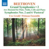 Symphony No. 2 in D Major, Op. 36 (Arr. J.N. Hummel for Flute & Piano Trio): IV. Allegro molto artwork