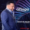 Sigue Mi Dolor - Single