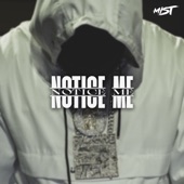 Notice Me artwork