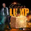 Sugar Lump - Single album lyrics, reviews, download