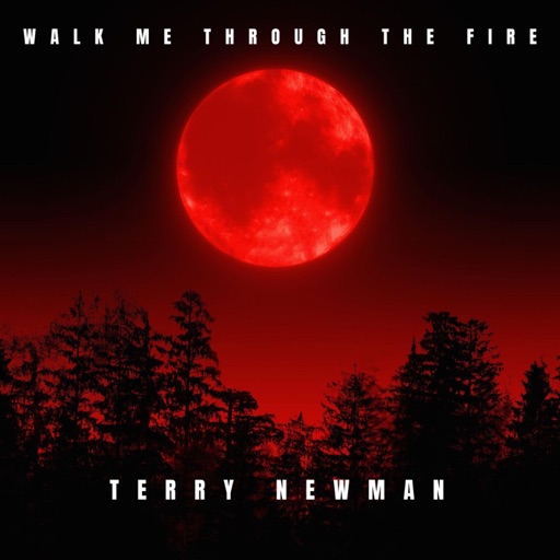 Art for Walk Me Through the Fire (Radio Edit) by Terry Newman