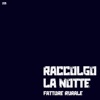 Raccolgo la notte