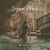 Organic House #01 artwork