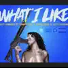 Wat I Like (feat. Tommy Flee, Kayse Cash & Fetty Luciano) - Single album lyrics, reviews, download
