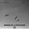 Birds of a Feather - EP