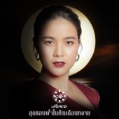 ดวงจันทร์บ่เคยหายไป artwork