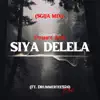 Stream & download Siya Delela (feat. DrummeRTee924) - Single