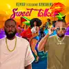 Sweet Talker (feat. Konshens) - Single album lyrics, reviews, download