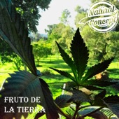 Fruto de la Tierra artwork