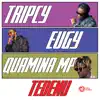 Tedenu (feat. Tripcy, Eugy & Quamina Mp) - Single album lyrics, reviews, download