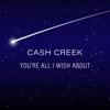 You're All I Wish About - Single