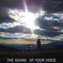 The Sound of Your Voice Song Lyrics