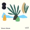 Dioon Edule - Single