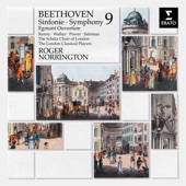 Ludwig van Beethoven - Beethoven: Symphony No. 9 in D Minor, Op. 125 "Choral": IV. (f) Allegro ma non tanto - Poco adagio