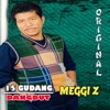 Meggi Z - Mengejar Badai