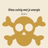 Wees Zuinig Met Je Energie artwork