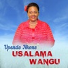 Usalama Wangu