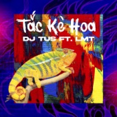 Tắc Kè Hoa (feat. LMT) artwork