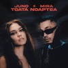 Toata noaptea - Single