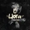 Stream & download Llora - Single