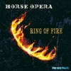 Ring of Fire - Single