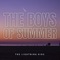 The Boys of Summer artwork