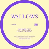 Wallows - Marvelous (Cole’s Remix)